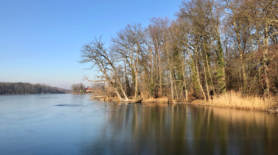 Steffen Lehmann und Dirk Lutze: „CDU-Fraktion begrüßt konkret erzielte Ergebnisse zum Schutz des Plessower Sees.“